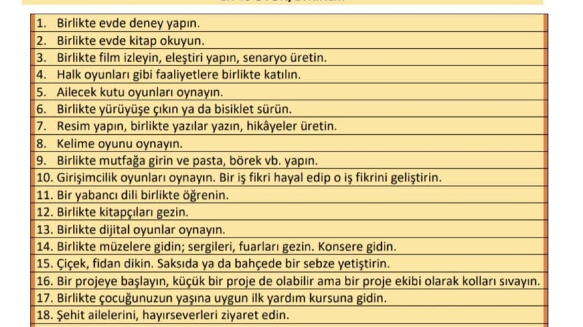 MAARİF MODELİ EBEVEYN OKULU (AİLECE 40 OYUN) 